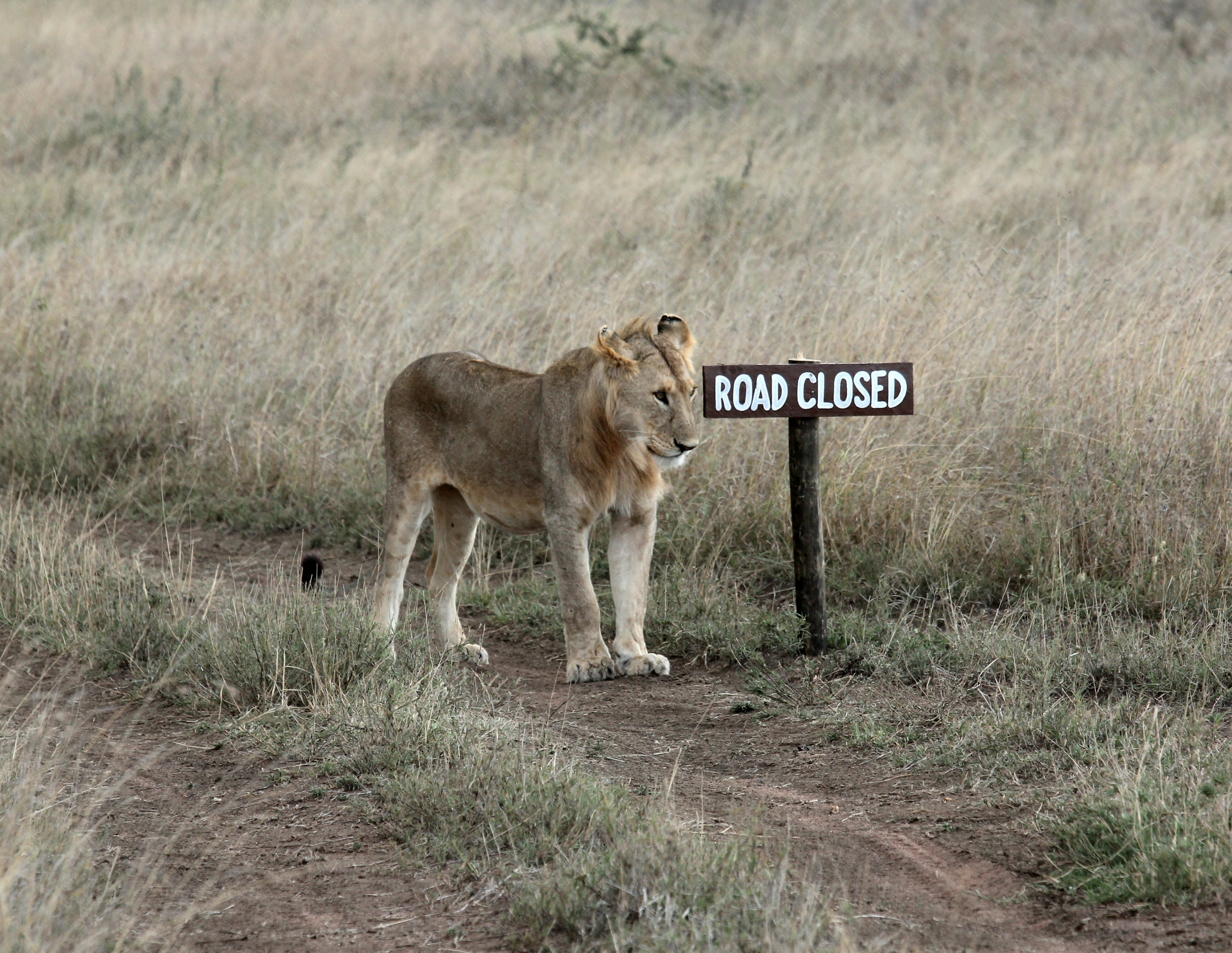 Tarangire National Park